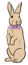Load image into Gallery viewer, Copy of Bunny with Purple Bow Tie Onesie-Infant Size