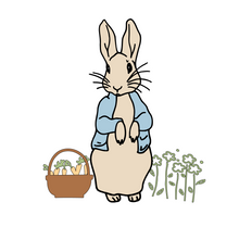 Load image into Gallery viewer, Peter Rabbit Shirt-Youth Size
