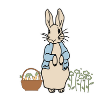 Load image into Gallery viewer, Peter Rabbit Shirt/Onesie-Infant/Toddler Sizes
